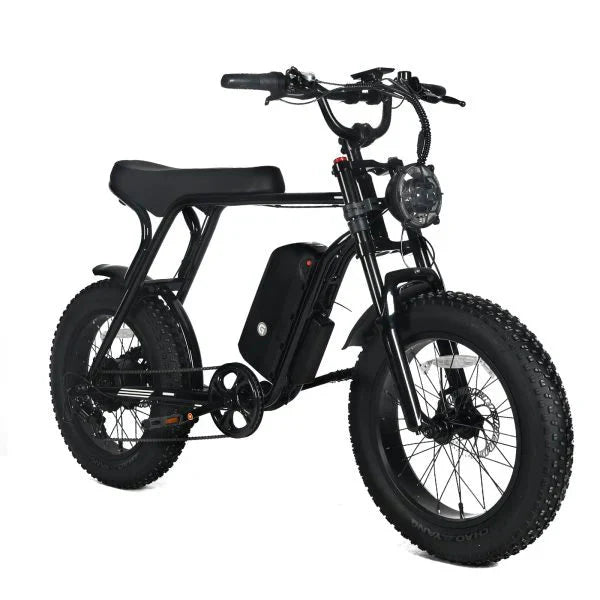 Electric Mountain Bike for Adults | 20 x 4.0 Fat Tires, 1000W Motor, 48V 20Ah Removable Battery, Max Speed 45MPH, Shi Mano 7-Speed for Off-Road Adventures(Black/1000W)