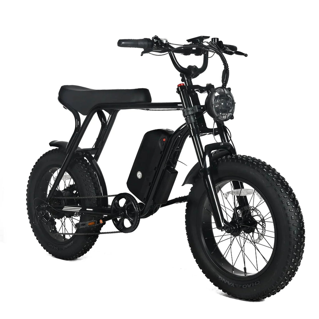 Electric Mountain Bike for Adults | 20 x 4.0 Fat Tires, 1000W Motor, 48V 20Ah Removable Battery, Max Speed 45MPH, Shi Mano 7-Speed for Off-Road Adventures(Black/1000W)
