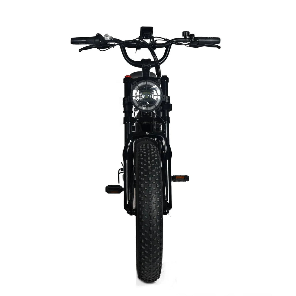 Electric Mountain Bike for Adults | 20 x 4.0 Fat Tires, 1000W Motor, 48V 20Ah Removable Battery, Max Speed 45MPH, Shi Mano 7-Speed for Off-Road Adventures(Black/1000W)