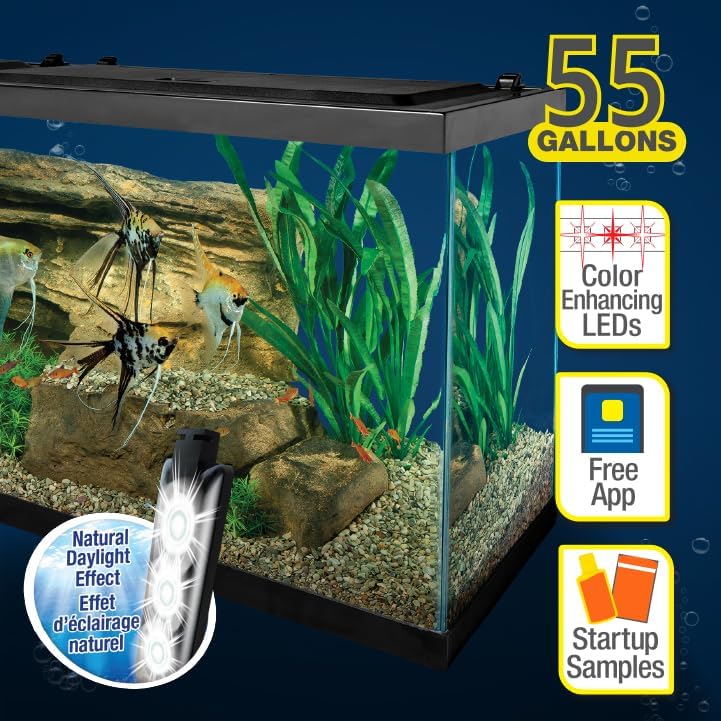 Complete LED Aquarium 55 Gallons, Includes LED Lighting, Filtration, Heater and Accessories(29 Gallons)