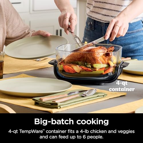 Ninja Crispi 4 in 1 Portable Glass Air Fryer Cooking System, 4QT  6 Cup Glass Containers with Storage Lids, Easy Meals, Microwave, Freezer  Dishwasher Safe, Air Fry, Bake  More, Cyberspace, FN101GY : Home  Kitchen(Green)