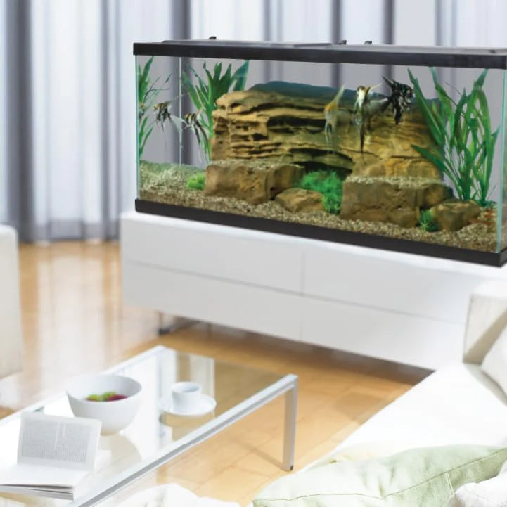 Complete LED Aquarium 55 Gallons, Includes LED Lighting, Filtration, Heater and Accessories(29 Gallons)