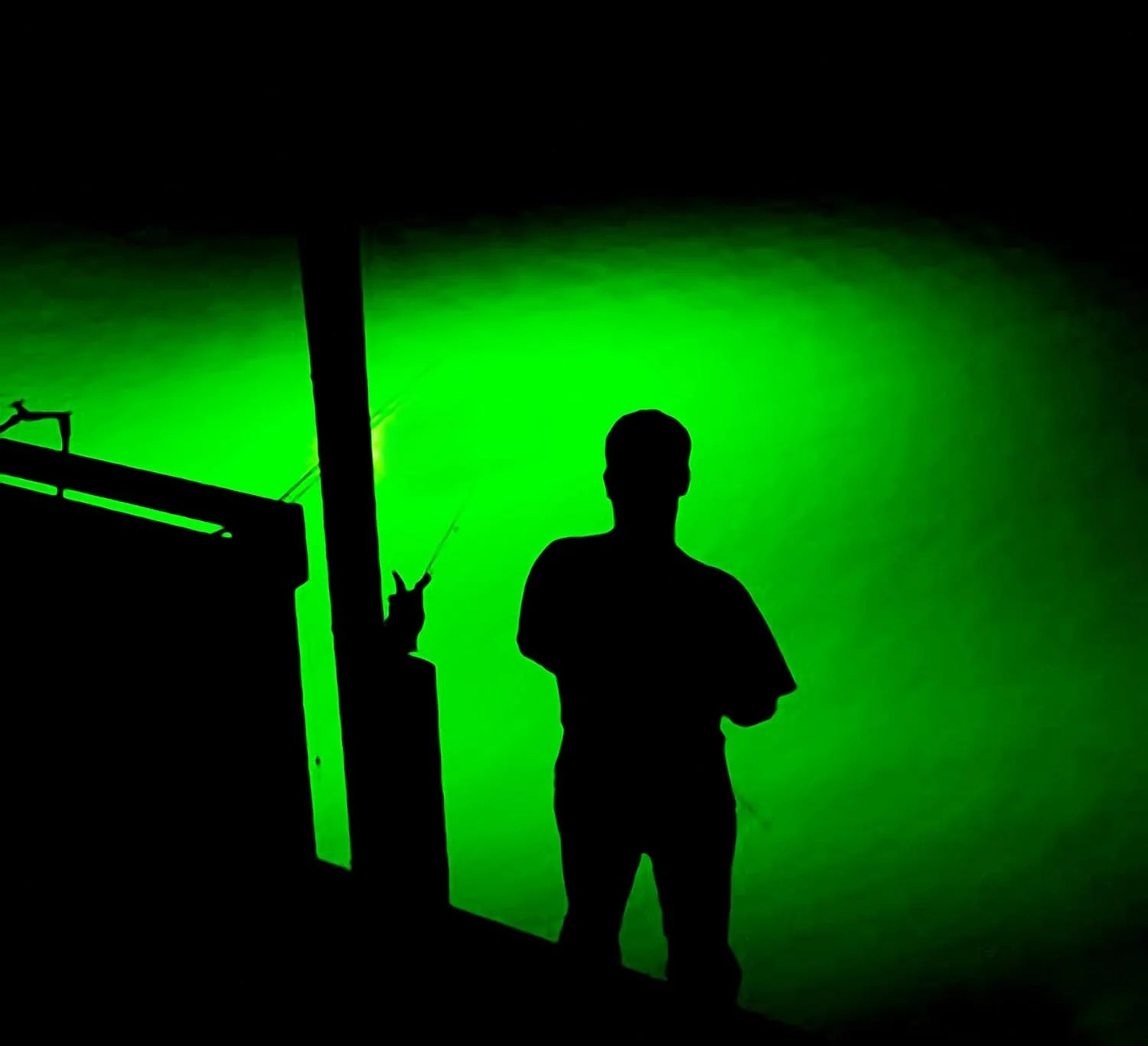 Light Extra Bright Vibrant Green 250W Single Light for Docks with 50’ of Marine Grade Wire, Easy to Install, Dusk to Dawn Operation, Salt or Fresh Water, Guaranteed to Attract Fish
