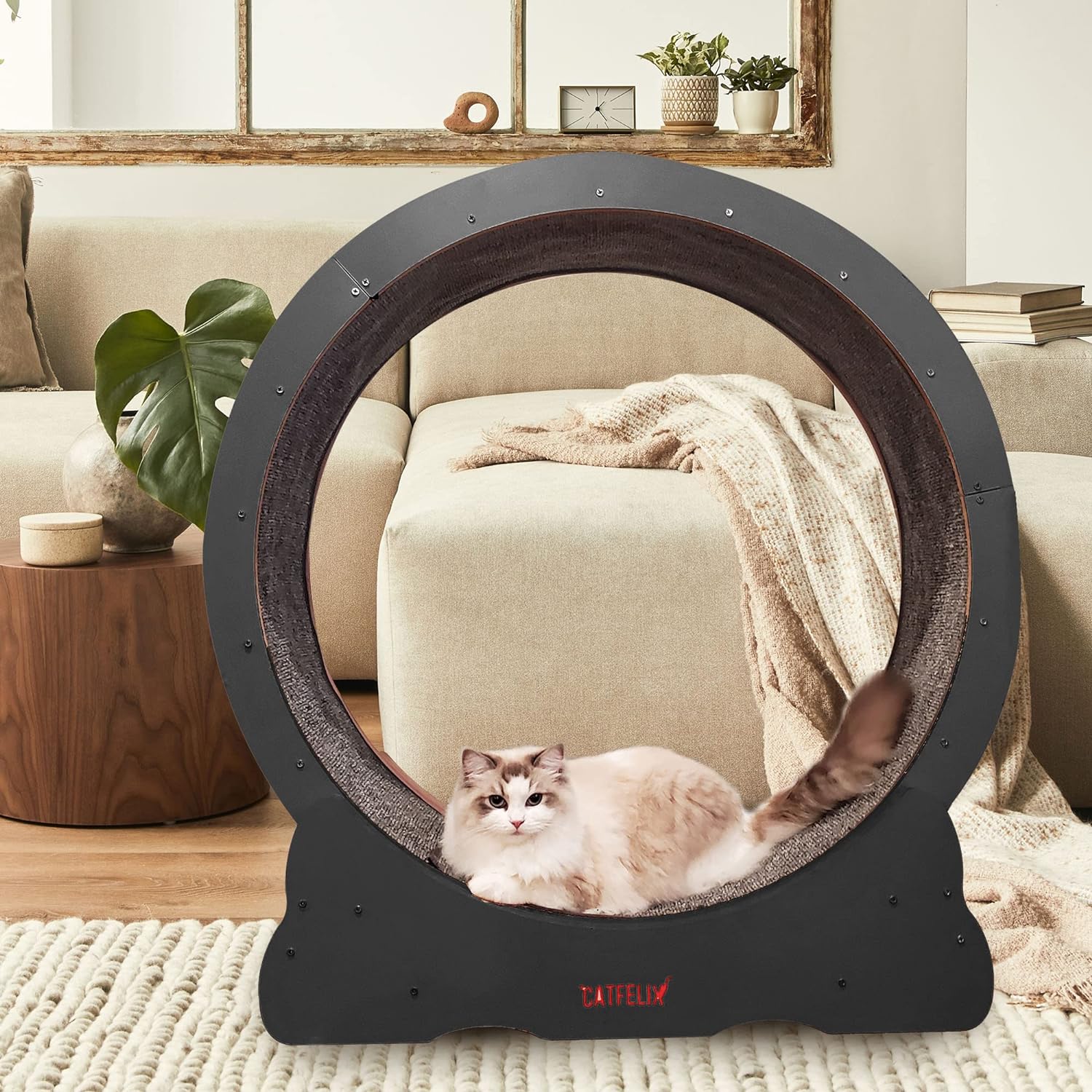 Cat Felix,Cat Wheel, Cat Exercise Wheel for Indoor, Easy Assembled Cat Treadmill for Fitness and Healthy, Cats Loss Weight Device (Pink) (White)(BLACK)