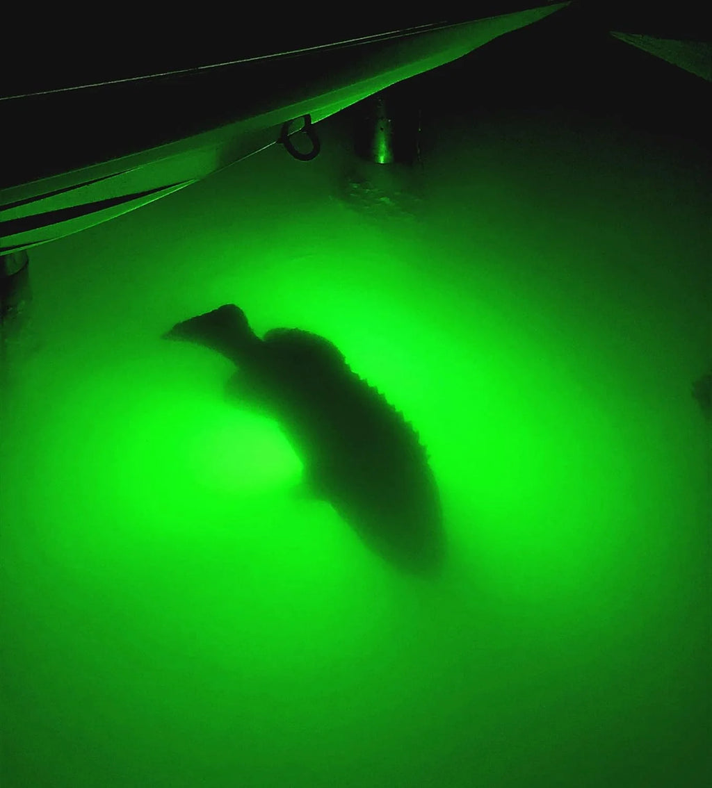 Light Extra Bright Vibrant Green 250W Single Light for Docks with 50’ of Marine Grade Wire, Easy to Install, Dusk to Dawn Operation, Salt or Fresh Water, Guaranteed to Attract Fish