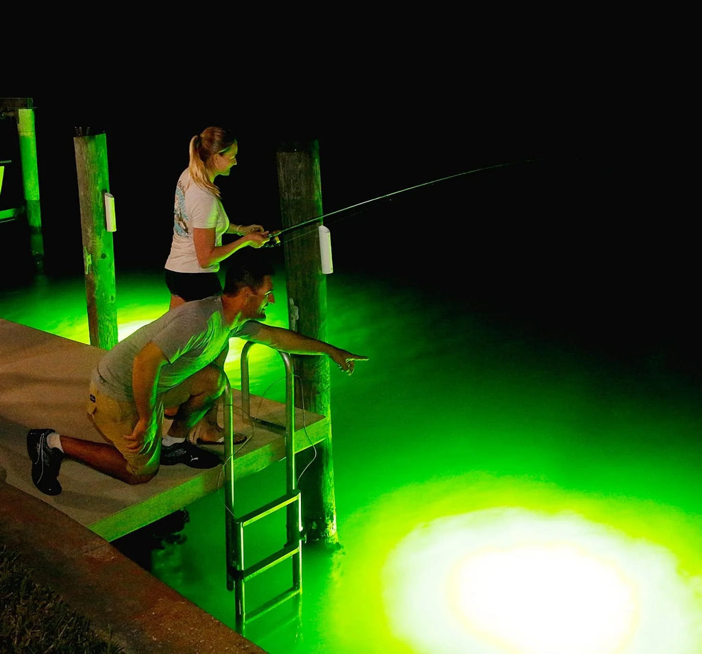 Light Extra Bright Vibrant Green 250W Single Light for Docks with 50’ of Marine Grade Wire, Easy to Install, Dusk to Dawn Operation, Salt or Fresh Water, Guaranteed to Attract Fish