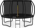 JUMPZYLLA Recreational Trampoline with Enclosure and Ladder, Galvanized Anti-Rust Coating