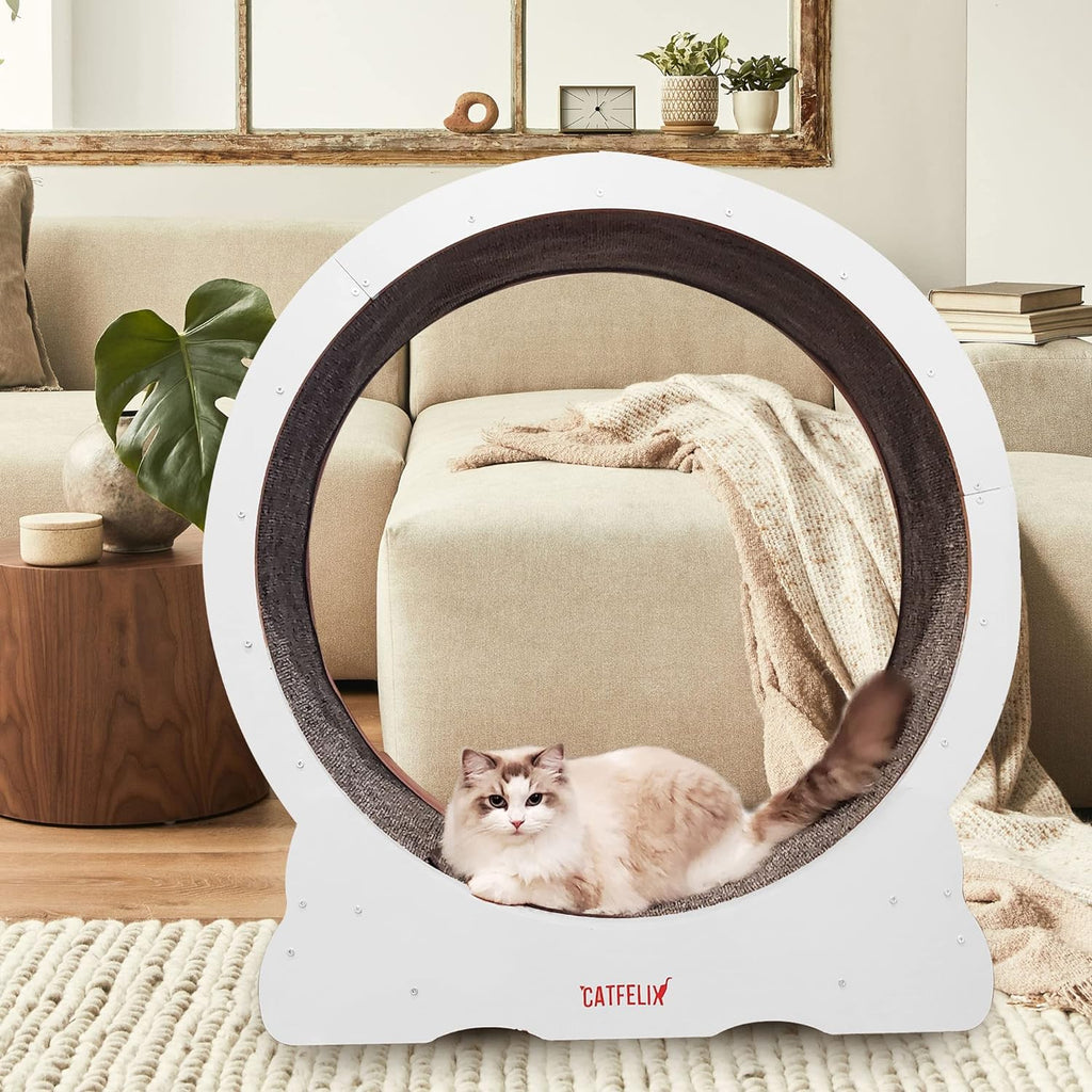 Cat Felix,Cat Wheel, Cat Exercise Wheel for Indoor, Easy Assembled Cat Treadmill for Fitness and Healthy, Cats Loss Weight Device (Pink) (White)(BLACK)