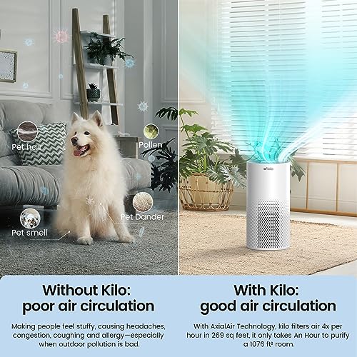 Afloia Air Purifiers for Home Large Room Up to 1076 Ft2, H13 True HEPA Air Purifiers for Bedroom