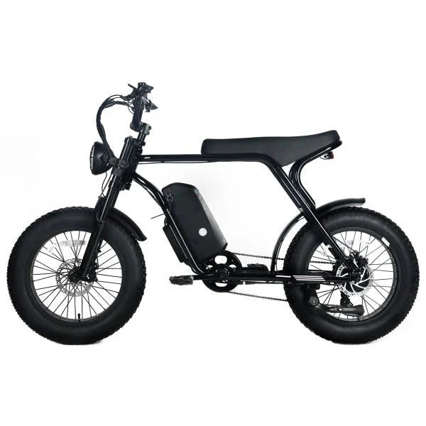 Electric Mountain Bike for Adults | 20 x 4.0 Fat Tires, 1000W Motor, 48V 20Ah Removable Battery, Max Speed 45MPH, Shi Mano 7-Speed for Off-Road Adventures(Black/1000W)