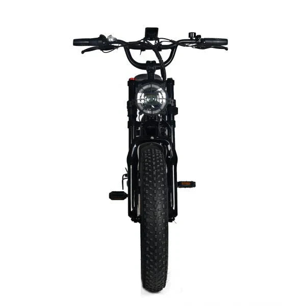 Electric Mountain Bike for Adults | 20 x 4.0 Fat Tires, 1000W Motor, 48V 20Ah Removable Battery, Max Speed 45MPH, Shi Mano 7-Speed for Off-Road Adventures(Black/1000W)